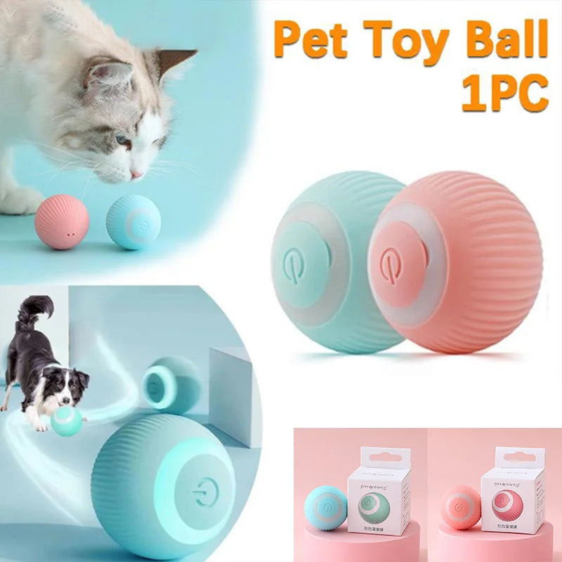 PurrfectPlay Pals Rolling Cat Toy